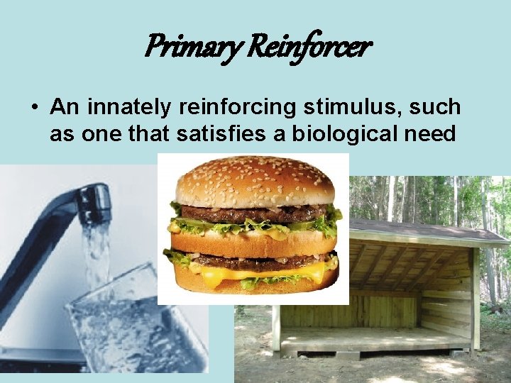 Primary Reinforcer • An innately reinforcing stimulus, such as one that satisfies a biological