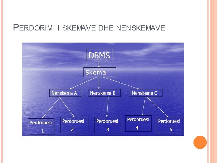 PERDORIMI I SKEMAVE DHE NENSKEMAVE 