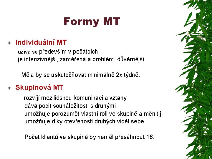 Formy MT Individuální MT užívá se především v počátcích, je intenzivnější, zaměřená a problém,