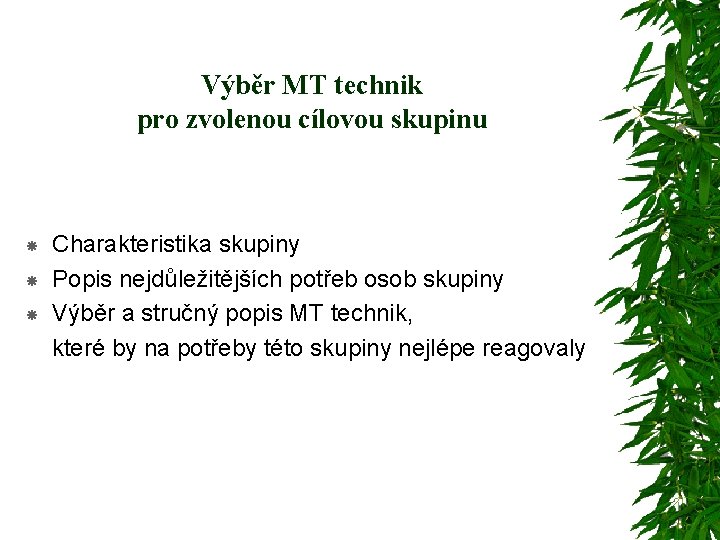 Výběr MT technik pro zvolenou cílovou skupinu Charakteristika skupiny Popis nejdůležitějších potřeb osob skupiny