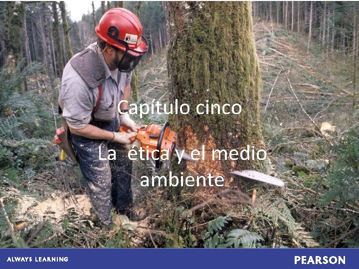 Capítulo cinco La ética y el medio ambiente 