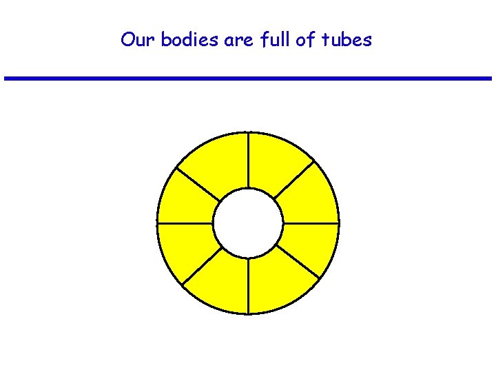 Our bodies are full of tubes 