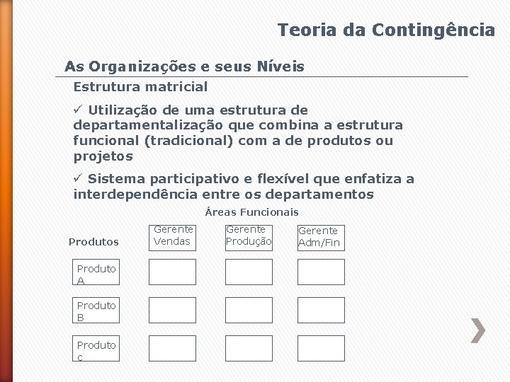 Teoria da Contingência As Organizações e seus Níveis Estrutura matricial ü Utilização de uma