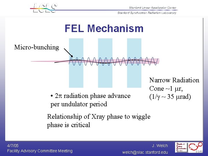 FEL Mechanism Micro-bunching • 2 radiation phase advance per undulator period Narrow Radiation Cone