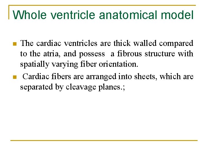 Whole ventricle anatomical model n n The cardiac ventricles are thick walled compared to