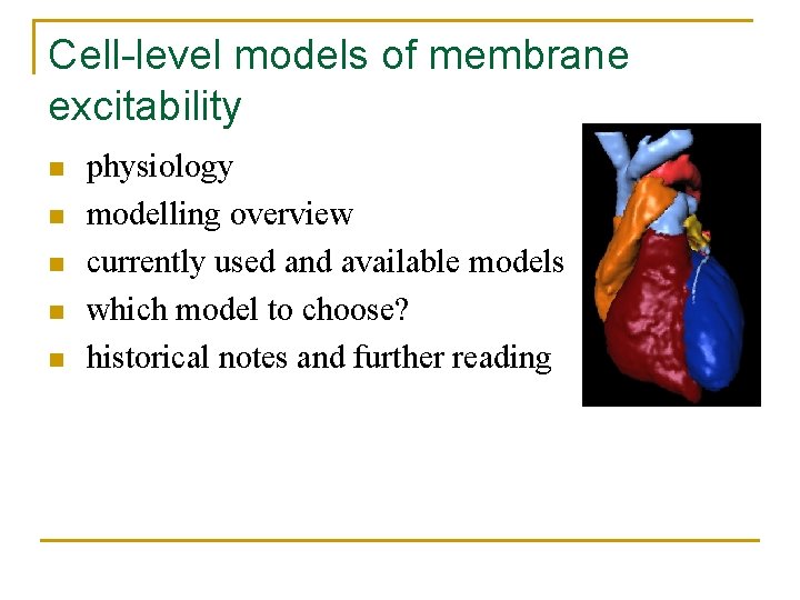 Cell-level models of membrane excitability n n n physiology modelling overview currently used and