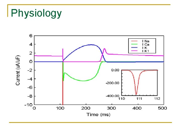 Physiology 