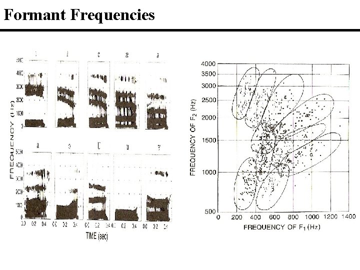 Formant Frequencies 