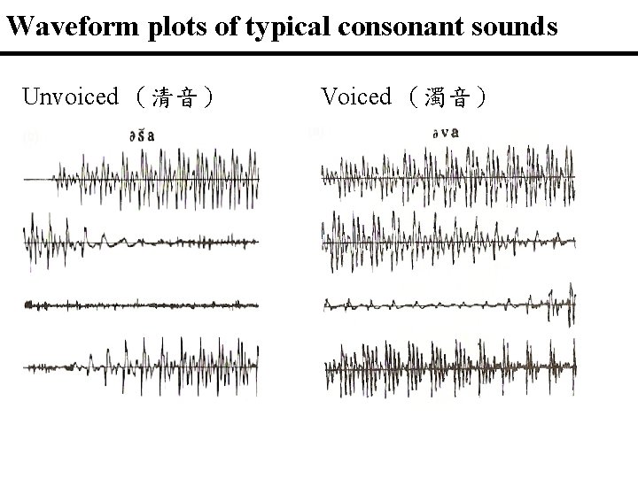 Waveform plots of typical consonant sounds Unvoiced （清音） Voiced （濁音） 