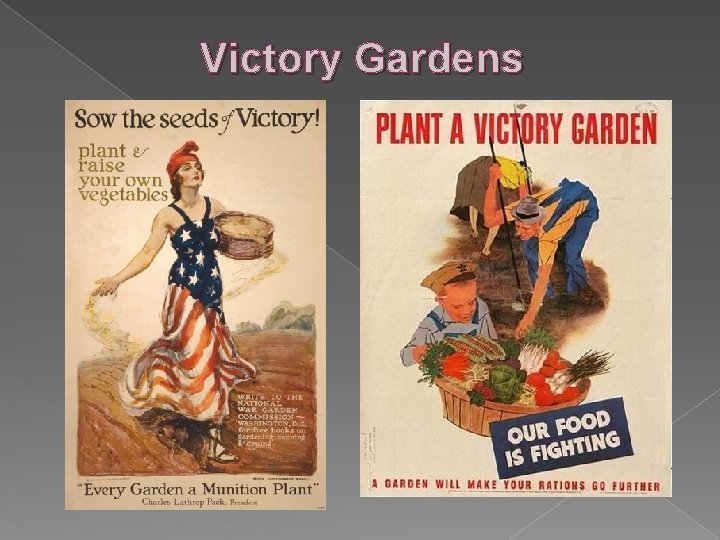 Victory Gardens 