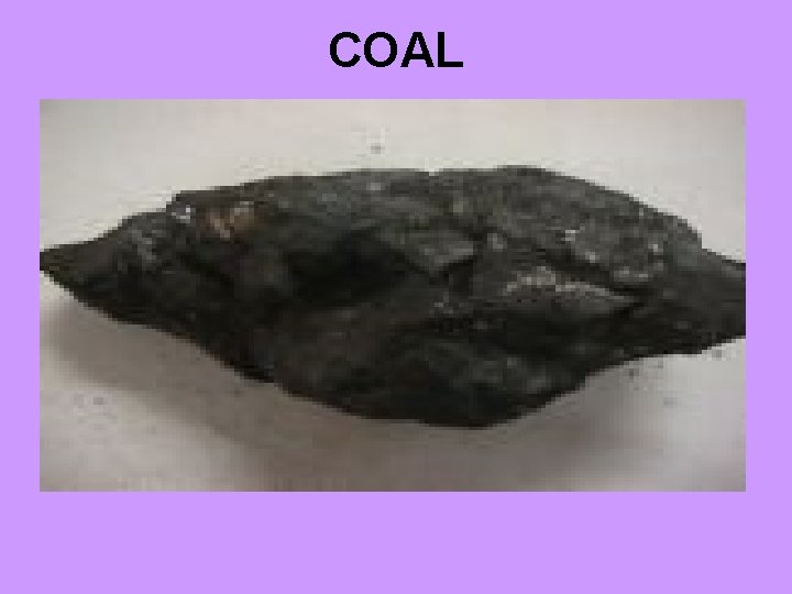 COAL 