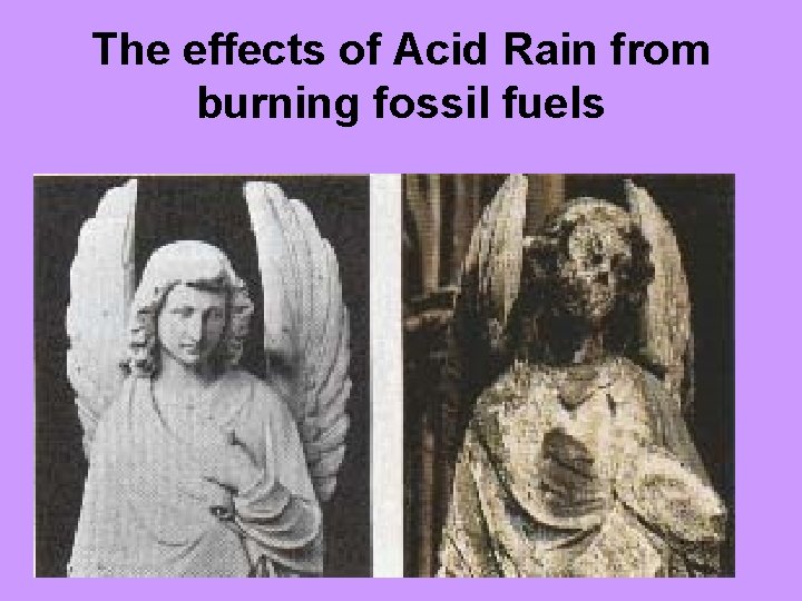 The effects of Acid Rain from burning fossil fuels 
