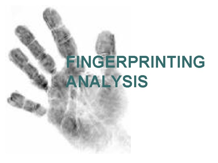 FINGERPRINTING ANALYSIS 