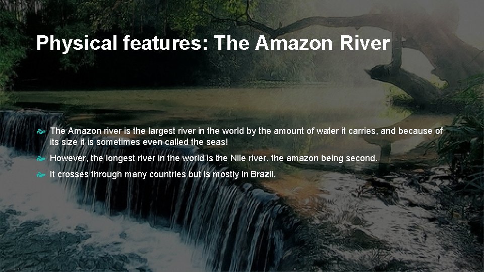 Physical features: The Amazon River The Amazon river is the largest river in the