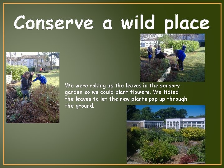Conserve a wild place We were raking up the leaves in the sensory garden