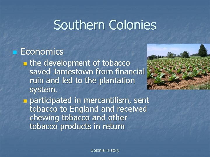 Southern Colonies n Economics the development of tobacco saved Jamestown from financial ruin and