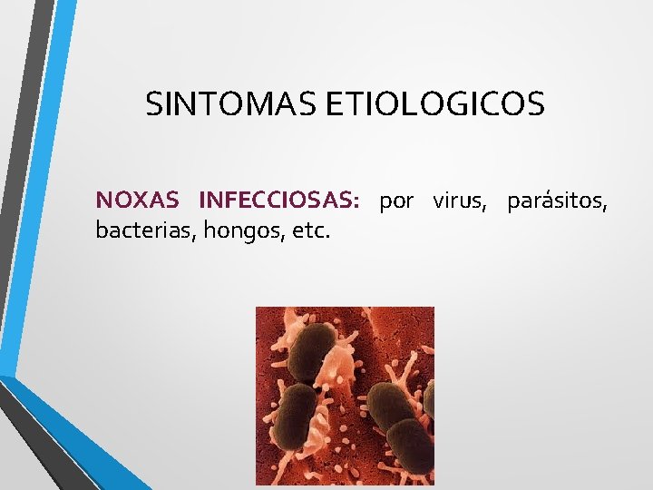 SINTOMAS ETIOLOGICOS NOXAS INFECCIOSAS: por virus, parásitos, bacterias, hongos, etc. 