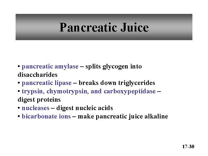 Chapter 17 Digestive System Accessory Organs Pancreas Liver