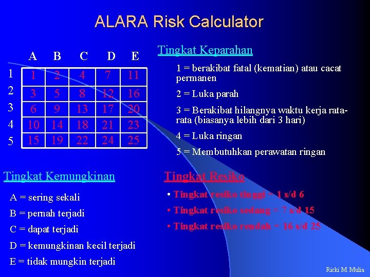 ALARA Risk Calculator A 1 2 3 4 5 B C D E 1