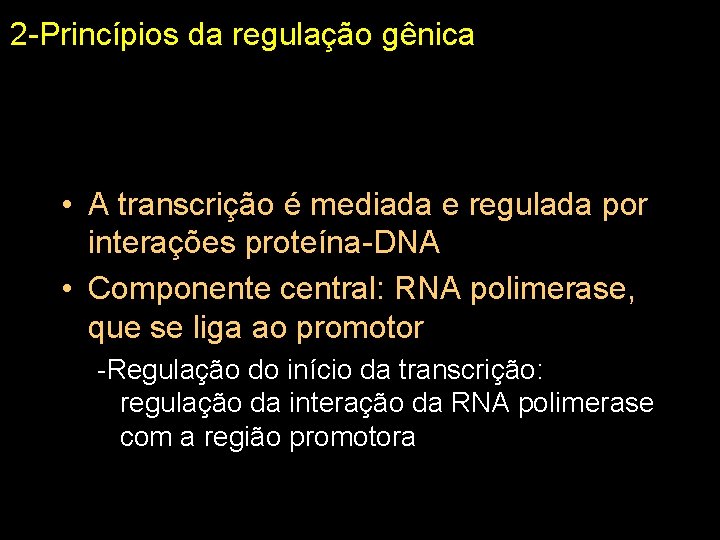 2 -Princípios da regulação gênica • A transcrição é mediada e regulada por interações