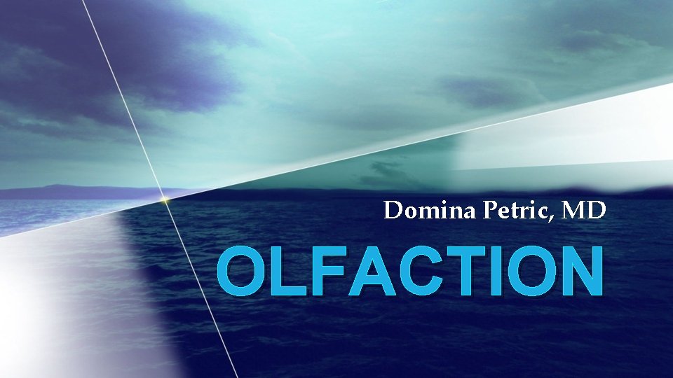 Domina Petric, MD OLFACTION 