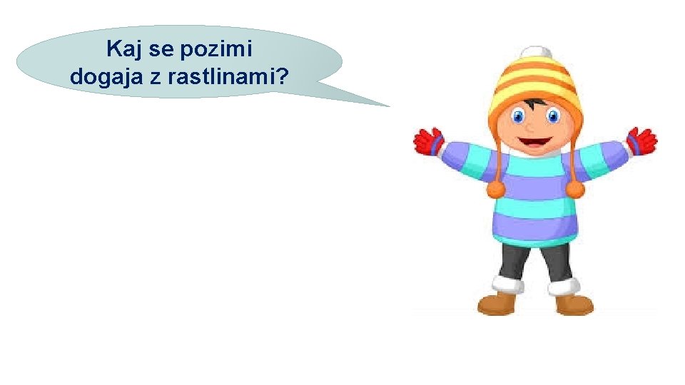 Kaj se pozimi dogaja z rastlinami? 