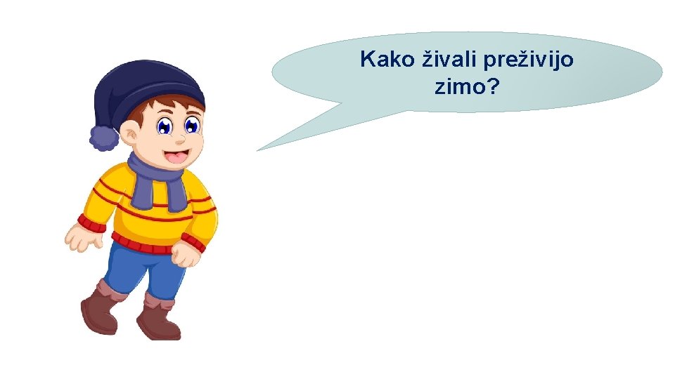 Kako živali preživijo zimo? 