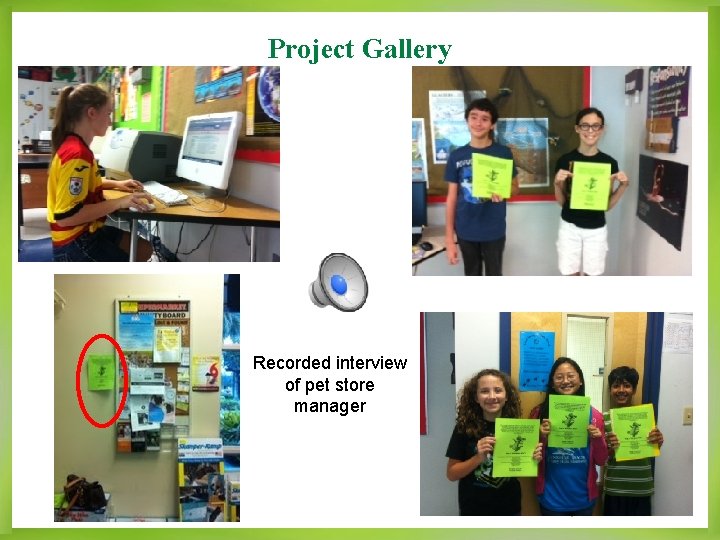 Project Gallery Recorded interview of pet store manager 14 