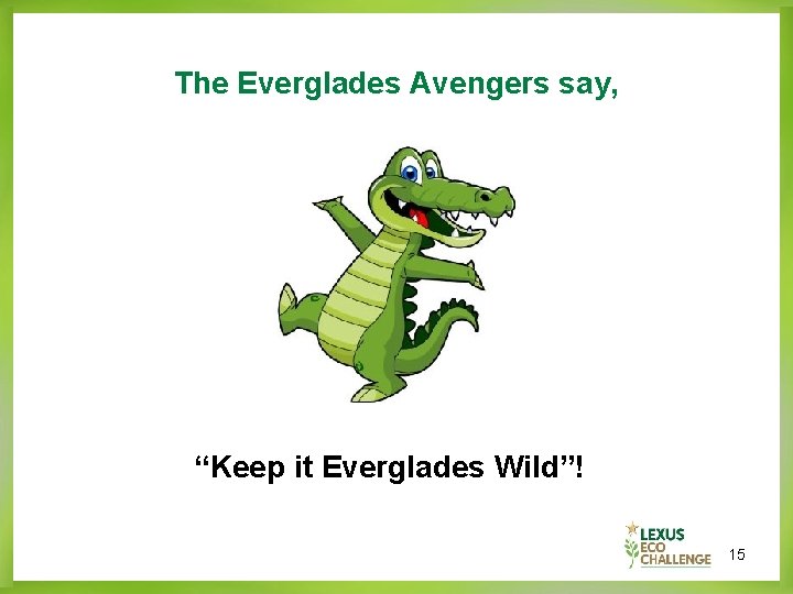 The Everglades Avengers say, “Keep it Everglades Wild”! 15 