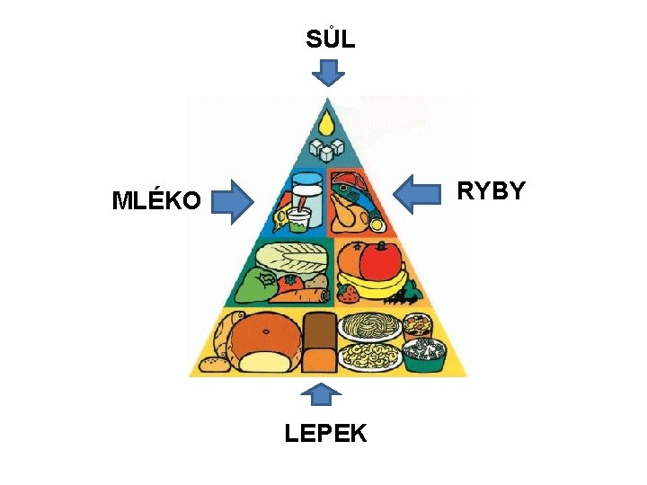 SŮL RYBY MLÉKO LEPEK 