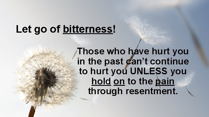Let go of bitterness! Those who have hurt you in the past can’t continue