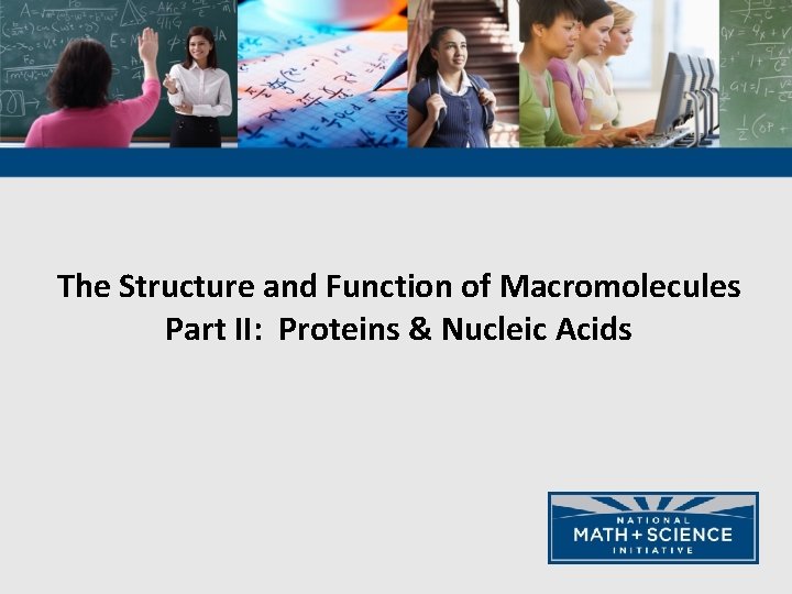 The Structure and Function of Macromolecules Part II