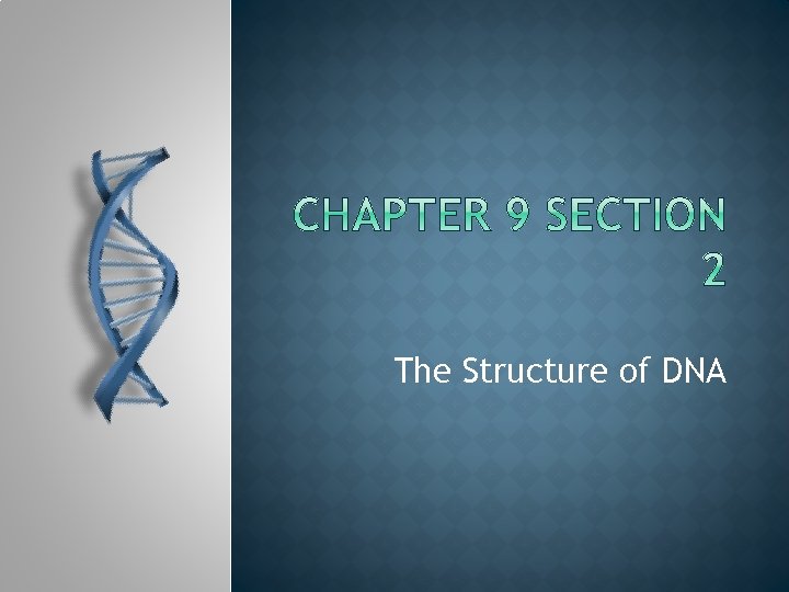 The Structure of DNA The Structure of DNA