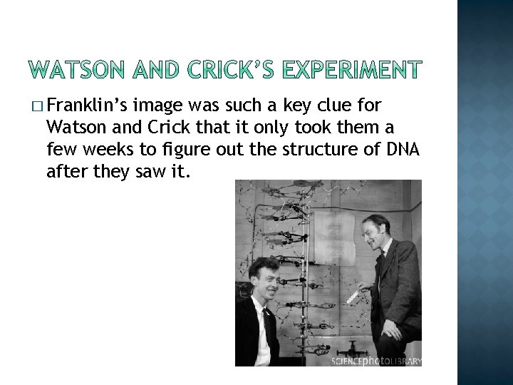 � Franklin’s image was such a key clue for Watson and Crick that it � Franklin’s image was such a key clue for Watson and Crick that it