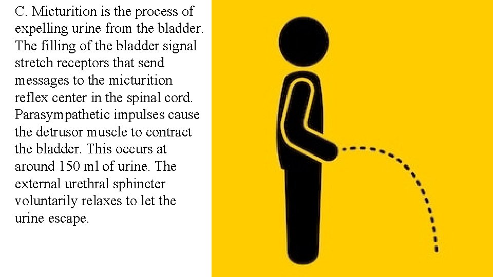 C. Micturition is the process of expelling urine from the bladder. The filling of