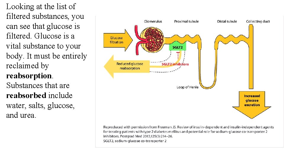 Looking at the list of filtered substances, you can see that glucose is filtered.