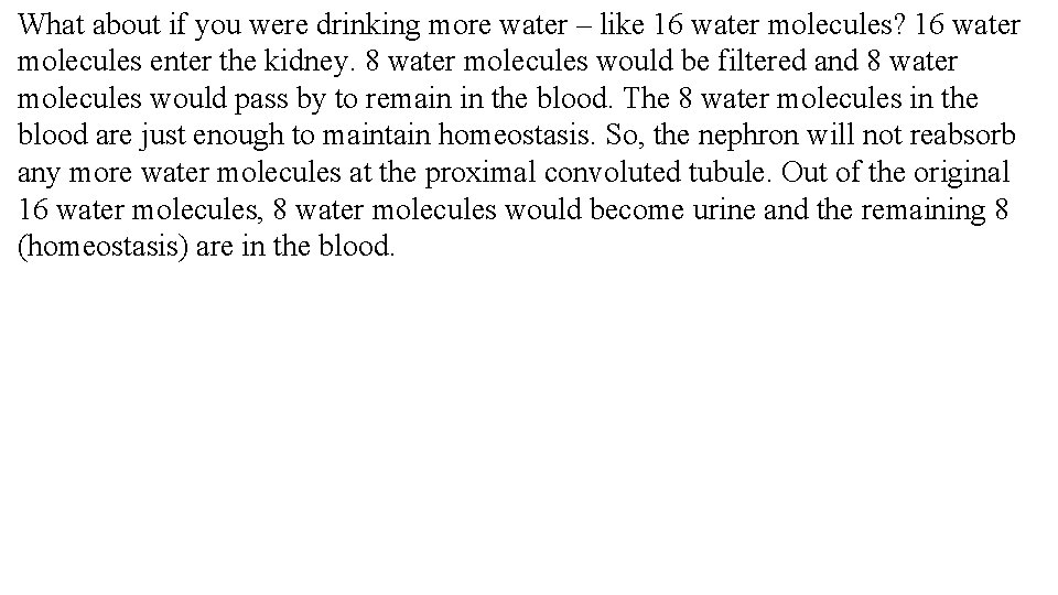 What about if you were drinking more water – like 16 water molecules? 16