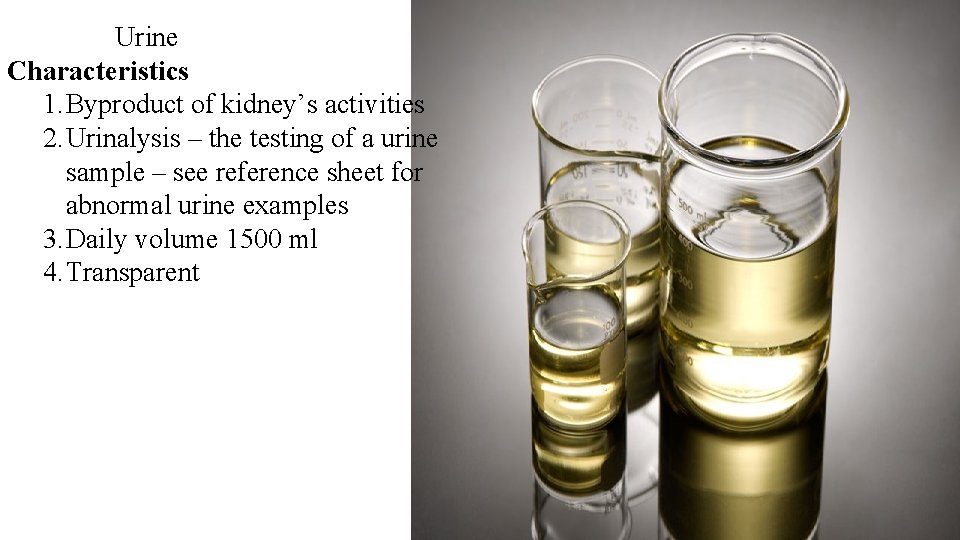 Urine Characteristics 1. Byproduct of kidney’s activities 2. Urinalysis – the testing of a