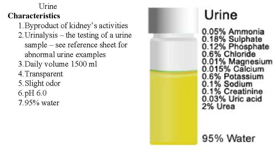 Urine Characteristics 1. Byproduct of kidney’s activities 2. Urinalysis – the testing of a