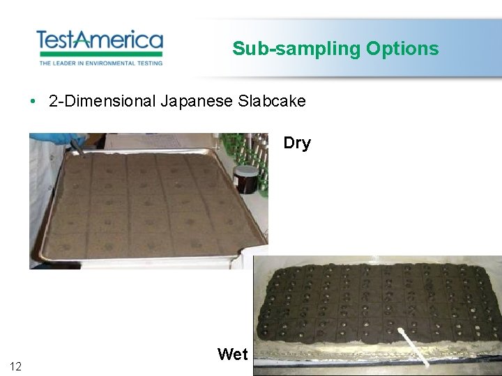 Sub-sampling Options • 2 -Dimensional Japanese Slabcake Dry 12 Wet 