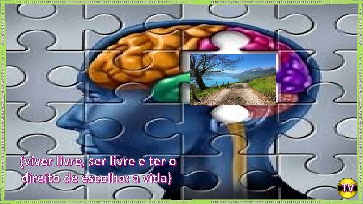 (viver livre, ser livre e ter o direito de escolha: a vida) TV 