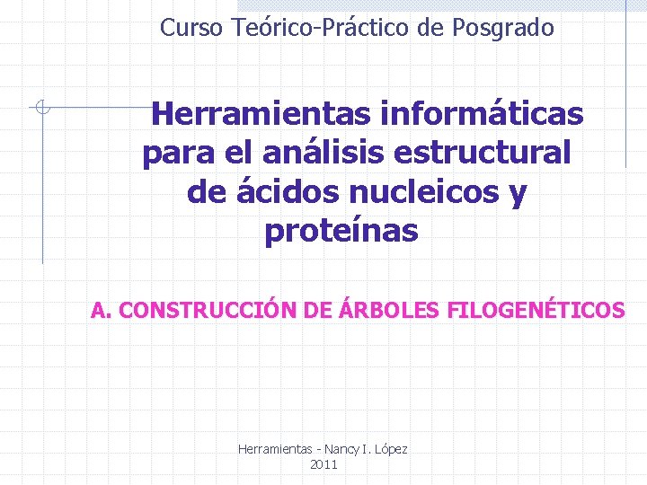 Curso Teórico-Práctico de Posgrado Herramientas informáticas para el análisis estructural de ácidos nucleicos y