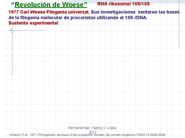 “Revolución de Woese” RNA ribosomal 16 S/18 S 1977 Carl Woese Filogenia universal. Sus