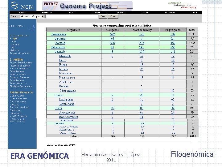 ERA GENÓMICA Herramientas - Nancy I. López 2011 Filogenómica 