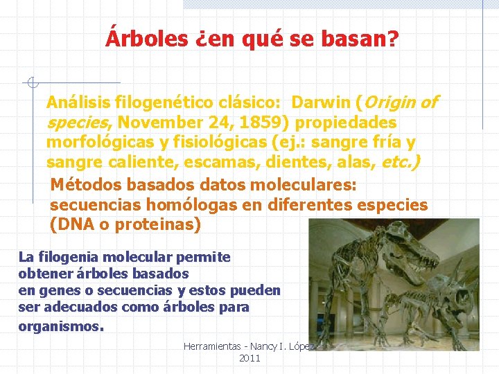 Árboles ¿en qué se basan? Análisis filogenético clásico: Darwin (Origin of species, November 24,