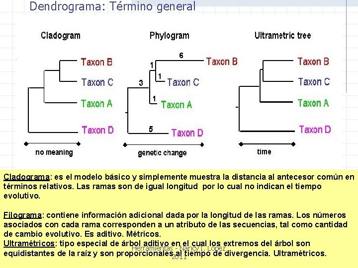 Dendrograma: Término general Cladograma: es el modelo básico y simplemente muestra la distancia al
