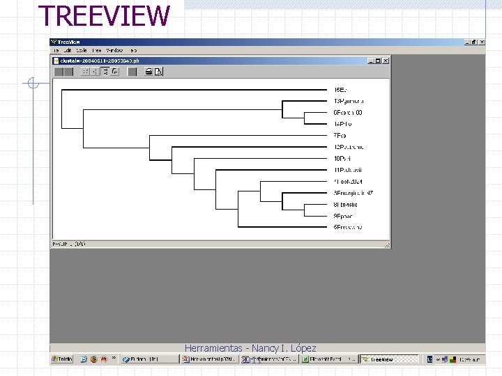 TREEVIEW Herramientas - Nancy I. López 2011 