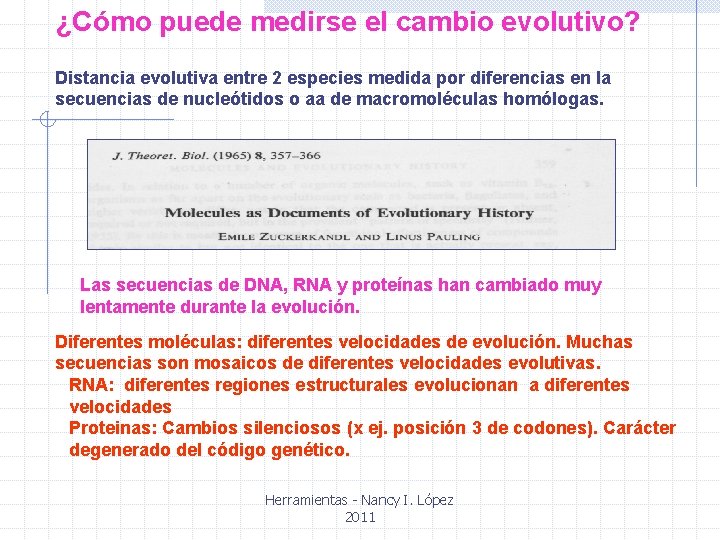 ¿Cómo puede medirse el cambio evolutivo? Distancia evolutiva entre 2 especies medida por diferencias