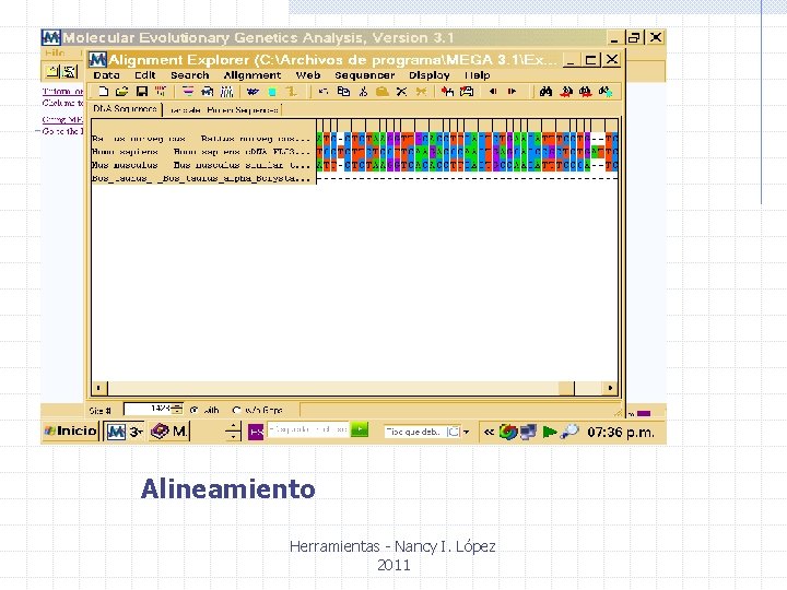 Alineamiento Herramientas - Nancy I. López 2011 