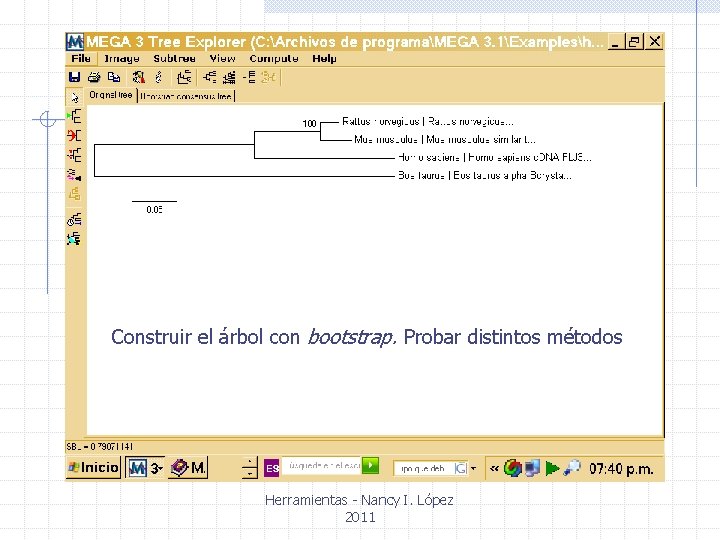 Construir el árbol con bootstrap. Probar distintos métodos Herramientas - Nancy I. López 2011